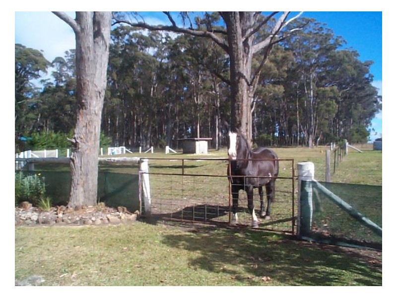 256 Rivertree Road, Stanthorpe QLD 4380