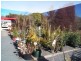 60 Sugarloaf Road, Stanthorpe QLD 4380