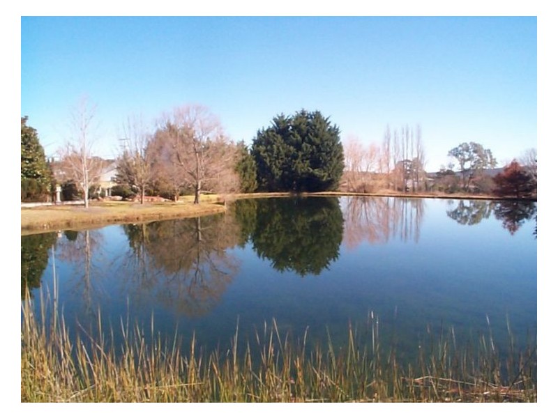 60 Sugarloaf Road, Stanthorpe QLD 4380