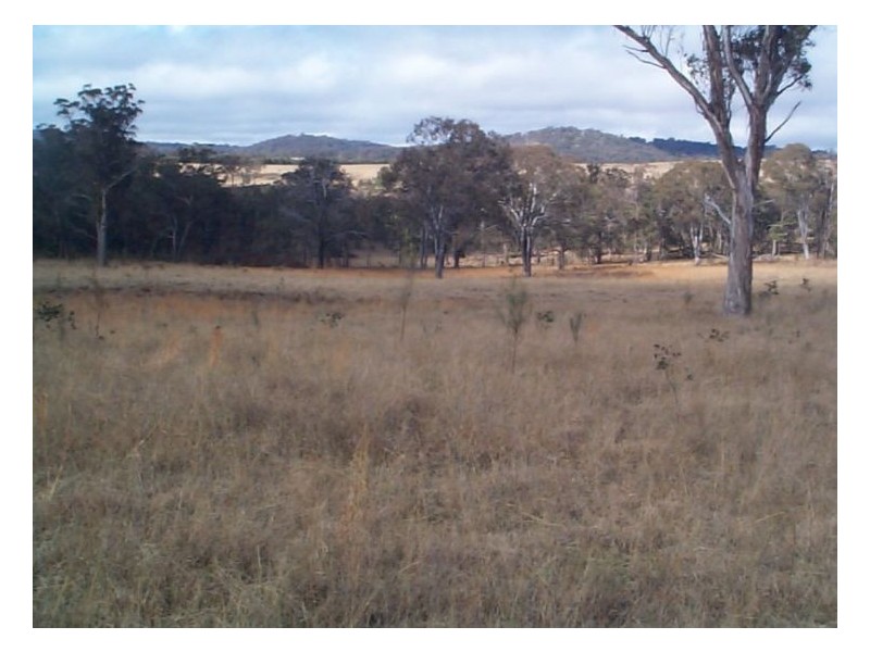 1 Old Warwick Road, Dalveen QLD 4374