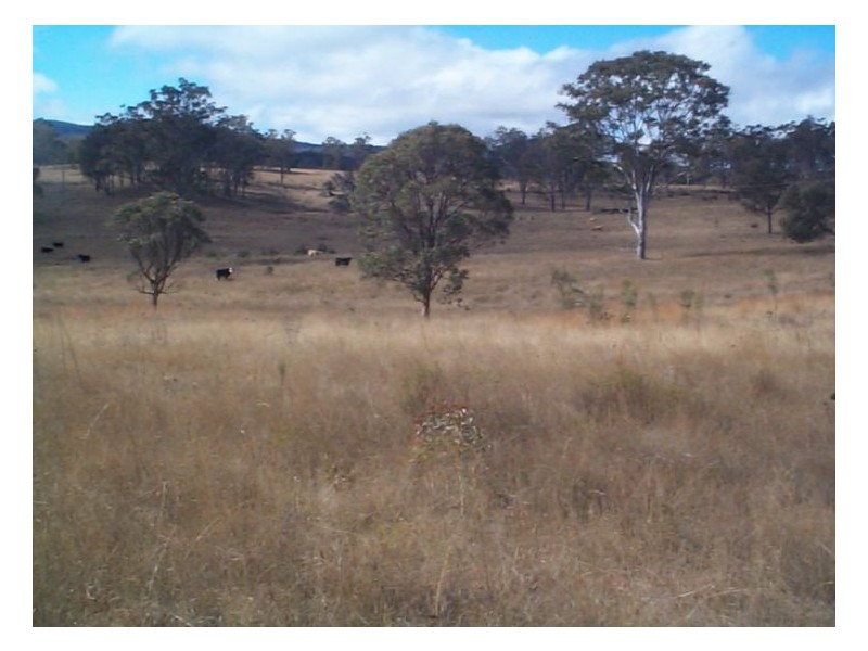 1 Old Warwick Road, Dalveen QLD 4374