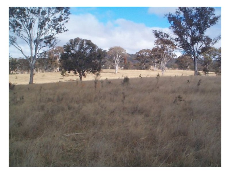 1 Old Warwick Road, Dalveen QLD 4374