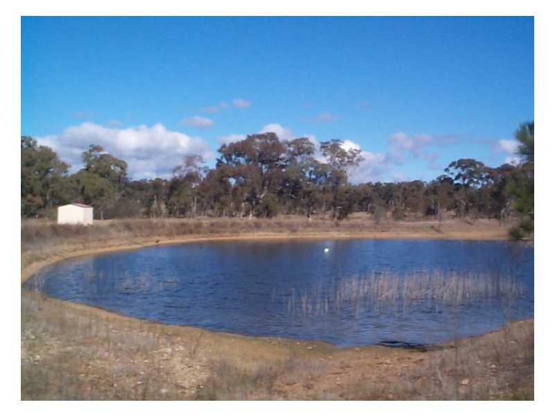 159 Costanzo Lane, Ballandean QLD 4382