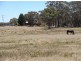 Stanthorpe QLD 4380