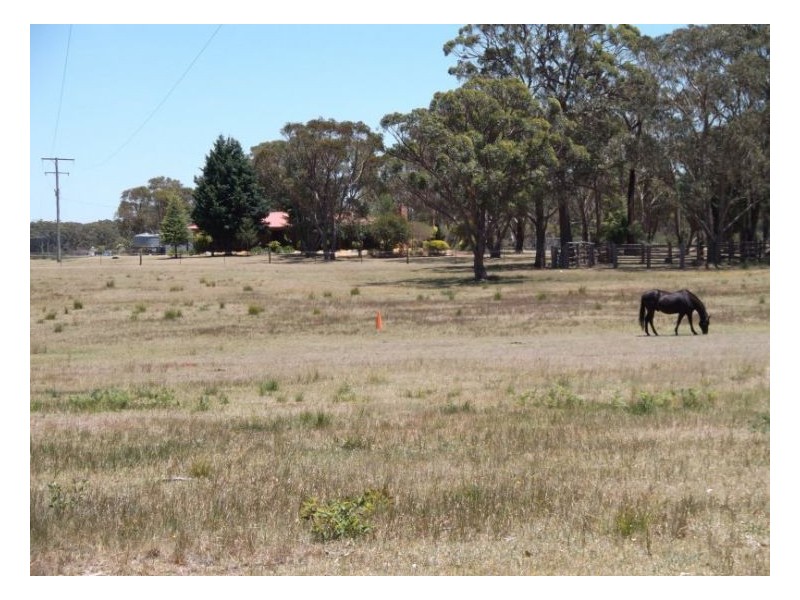 Stanthorpe QLD 4380