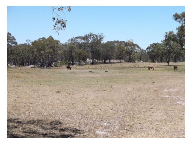 Stanthorpe QLD 4380