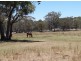 Stanthorpe QLD 4380