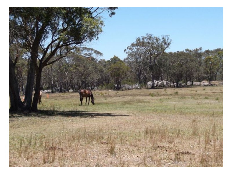 Stanthorpe QLD 4380
