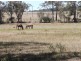Stanthorpe QLD 4380
