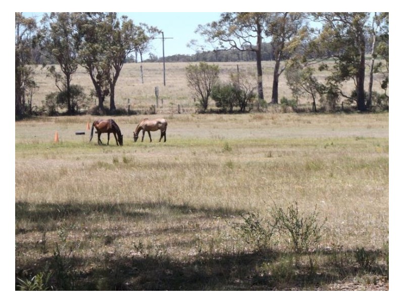 Stanthorpe QLD 4380