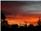 Dalveen QLD 4374