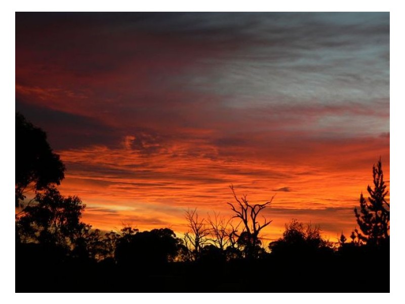 Dalveen QLD 4374
