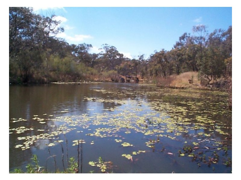 84 Tea Tree Lane, Stanthorpe QLD 4380