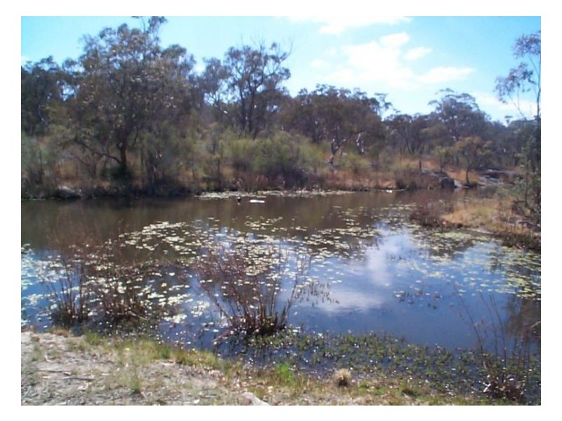 84 Tea Tree Lane, Stanthorpe QLD 4380