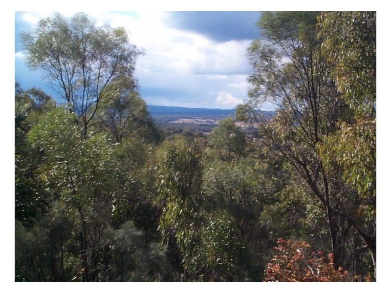 81 Clark Lane, Stanthorpe QLD 4380