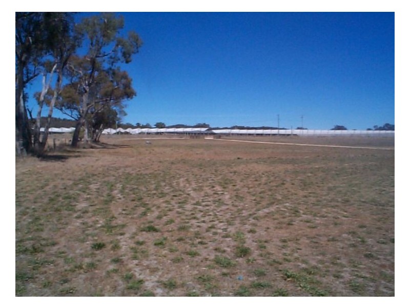 Glen Aplin QLD 4381