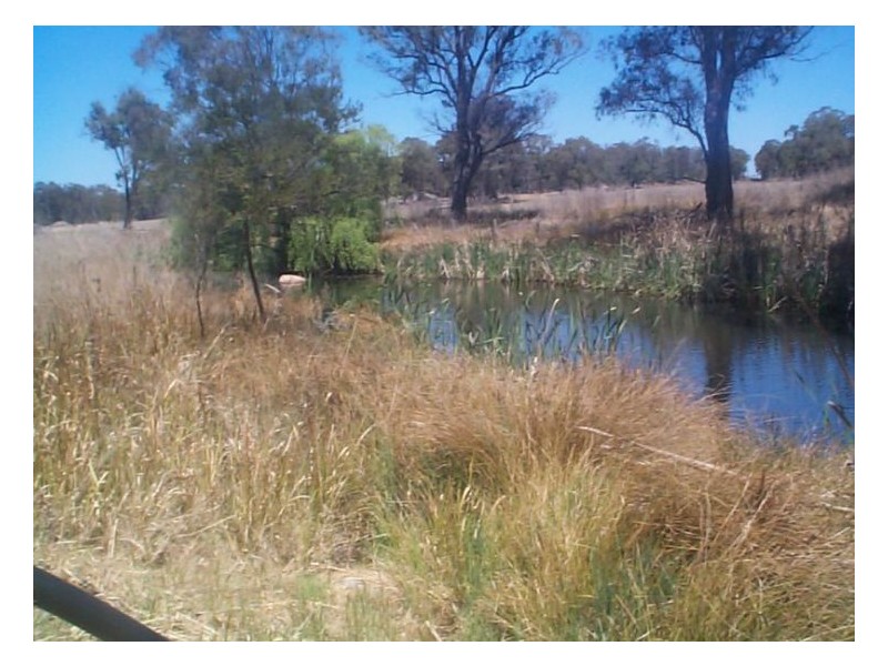 214 Caves Road, Stanthorpe QLD 4380