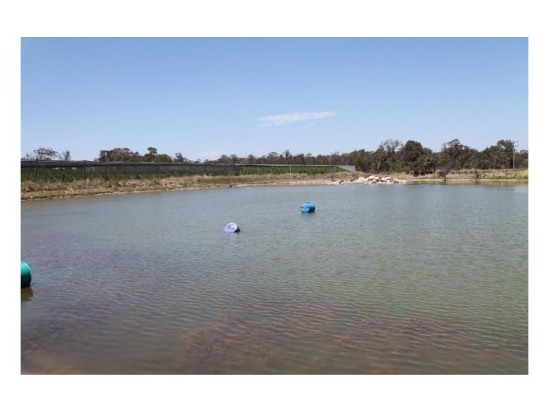 263 Kelly Road, Stanthorpe QLD 4380