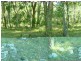 836 Eukey Road, Stanthorpe QLD 4380
