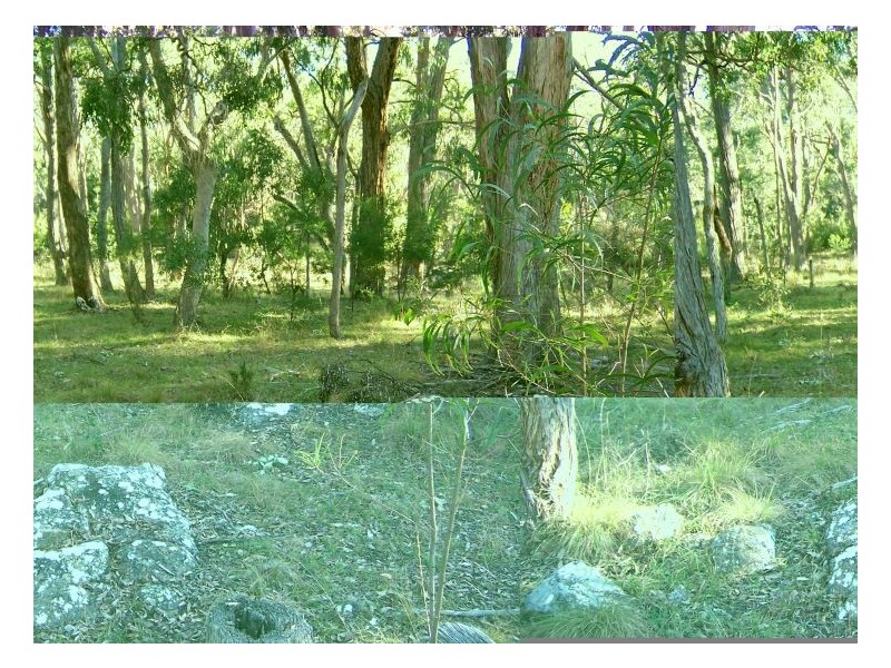 836 Eukey Road, Stanthorpe QLD 4380
