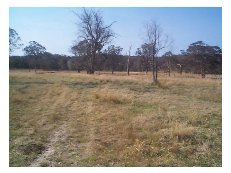 190 Mckechnie Road, Stanthorpe QLD 4380