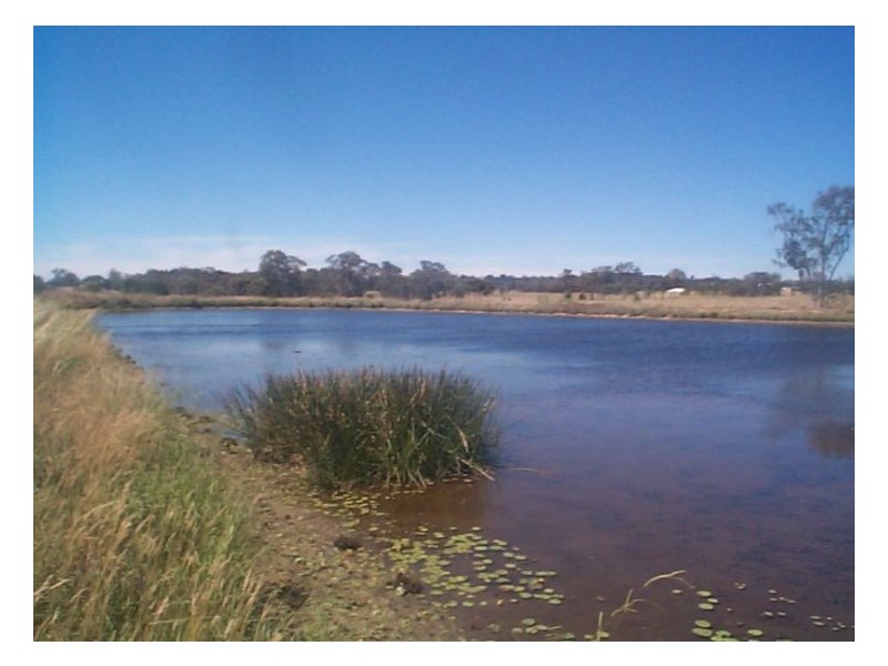 21 Best Lane, The Summit QLD 4377