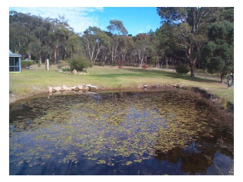 19 Memorial Lane, Amiens QLD 4352