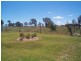 121 Thorndale Road, Stanthorpe QLD 4380