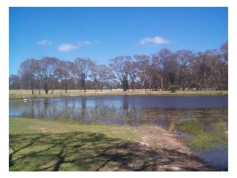 23 Tennant Road, Stanthorpe QLD 4380