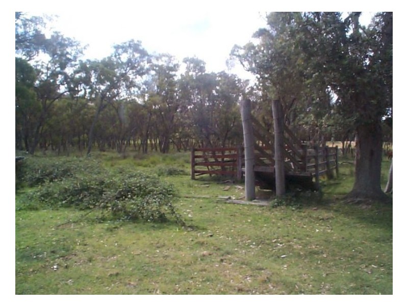 1 Spencer Lane, Stanthorpe QLD 4380