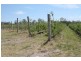 215 Kelly Road, Applethorpe QLD 4378