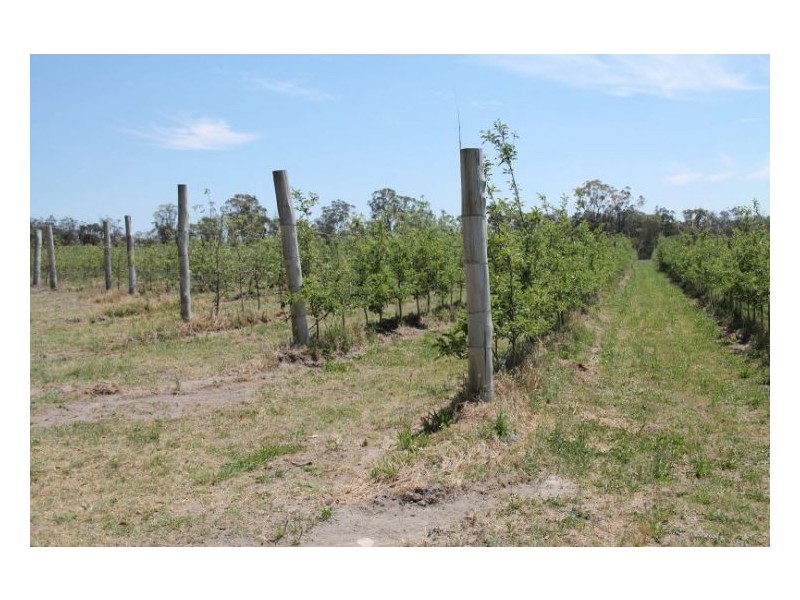 215 Kelly Road, Applethorpe QLD 4378