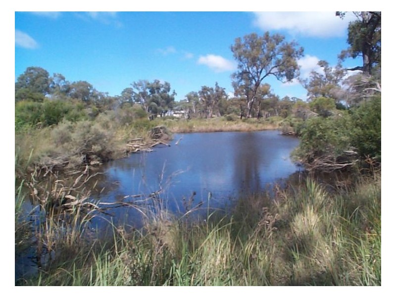 43 Stabiles Road, Stanthorpe QLD 4380