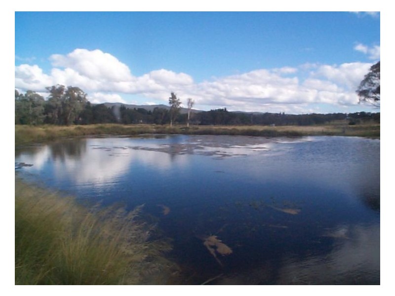 43 Stabiles Road, Stanthorpe QLD 4380