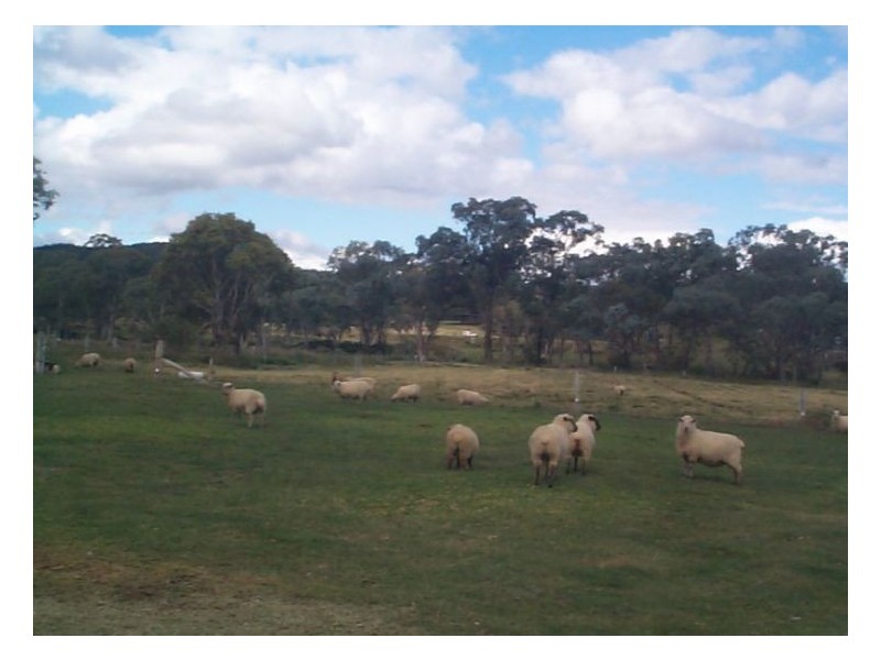 43 Stabiles Road, Stanthorpe QLD 4380