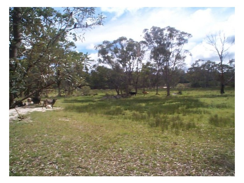 Thulimbah QLD 4376