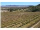 60 Zambelli Road, Ballandean QLD 4382