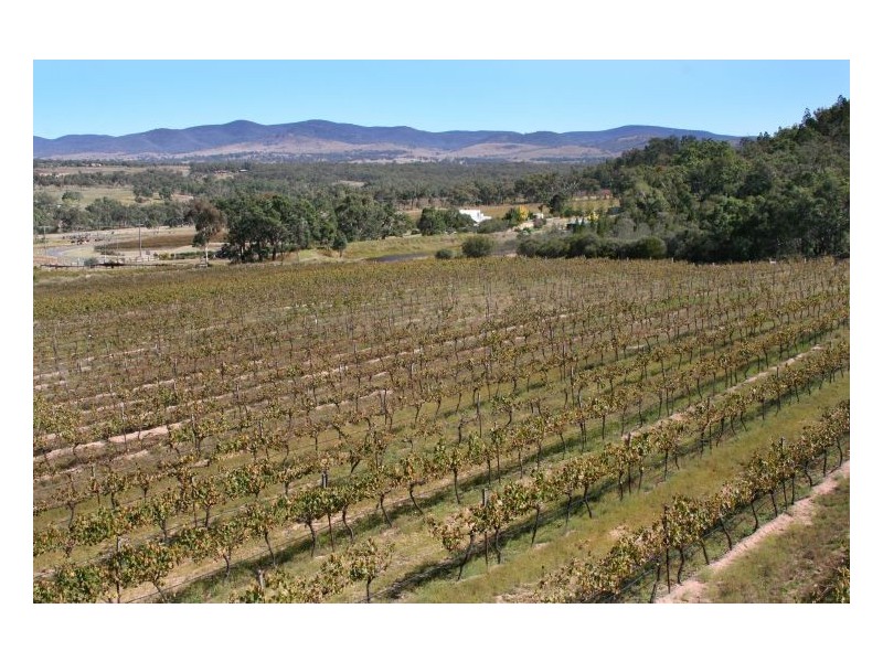 60 Zambelli Road, Ballandean QLD 4382