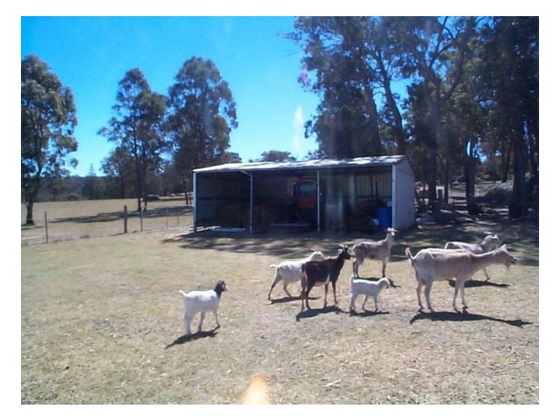 Amiens QLD 4352