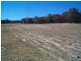 Amiens QLD 4352
