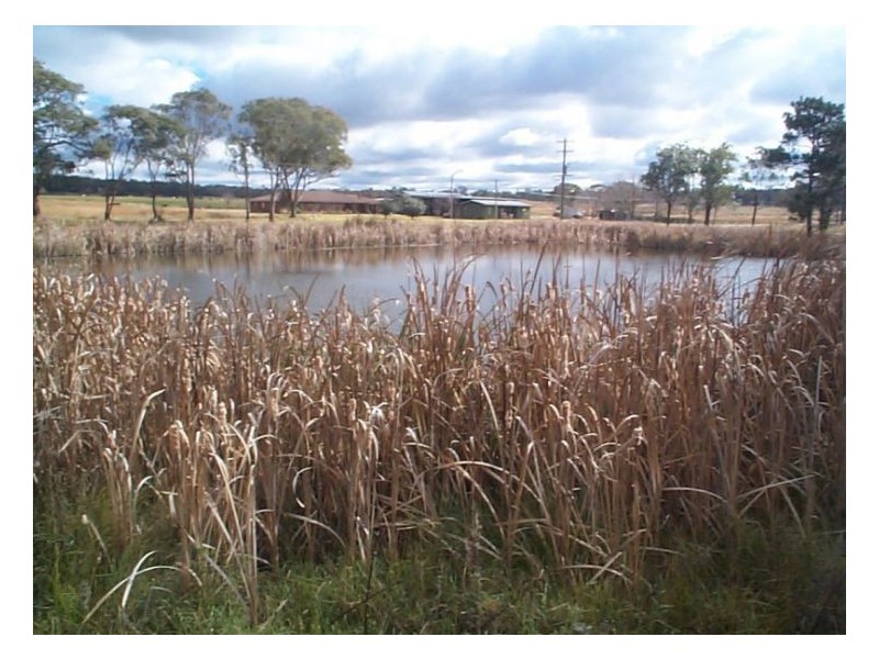 128 Donges Road, Stanthorpe QLD 4380