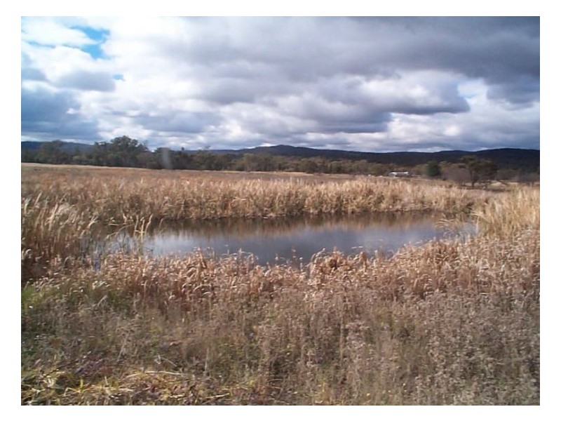 128 Donges Road, Stanthorpe QLD 4380