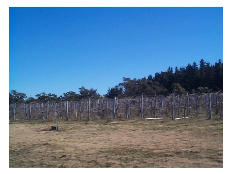 269 Jimmy Mann Road, Stanthorpe QLD 4380