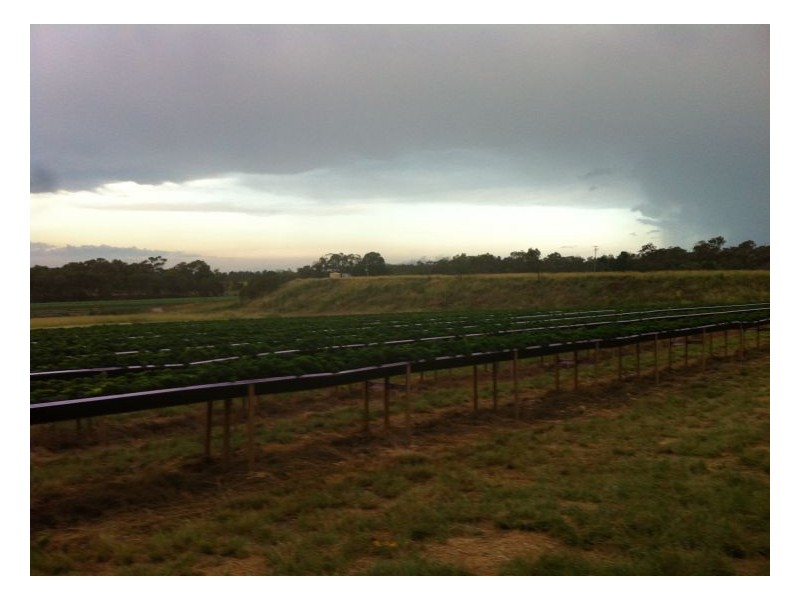 813 Donnellys Castle Road, Pozieres QLD 4352