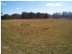 Dalveen QLD 4374