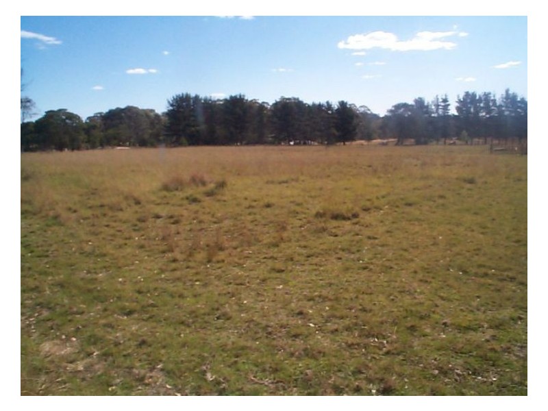 Dalveen QLD 4374