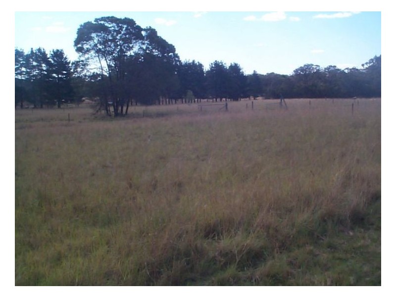 Dalveen QLD 4374