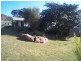 Stanthorpe QLD 4380
