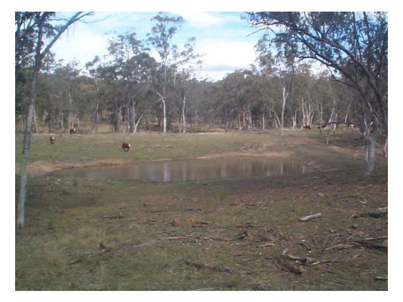 1 Rabbit Fence Road, Pozieres QLD 4352