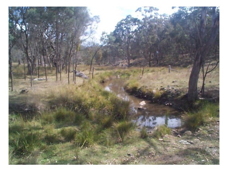 1 Rabbit Fence Road, Pozieres QLD 4352